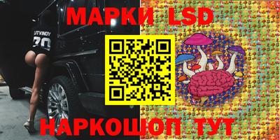 мяу мяу мука Усть-Джегута