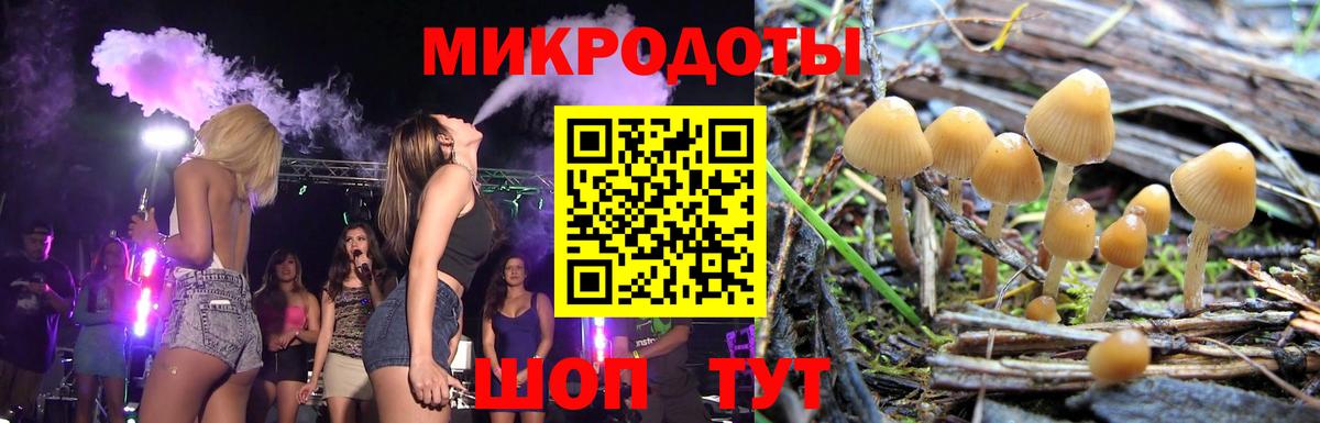 Псков  Псилоцибиновые грибы Psilocybe  Вход с VPN 